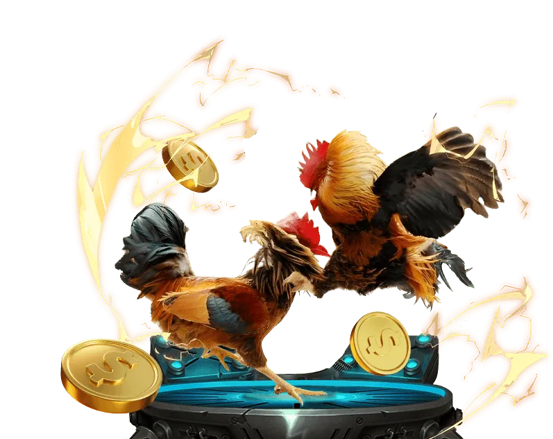 Đá gà trực tuyến Xổ Số 66